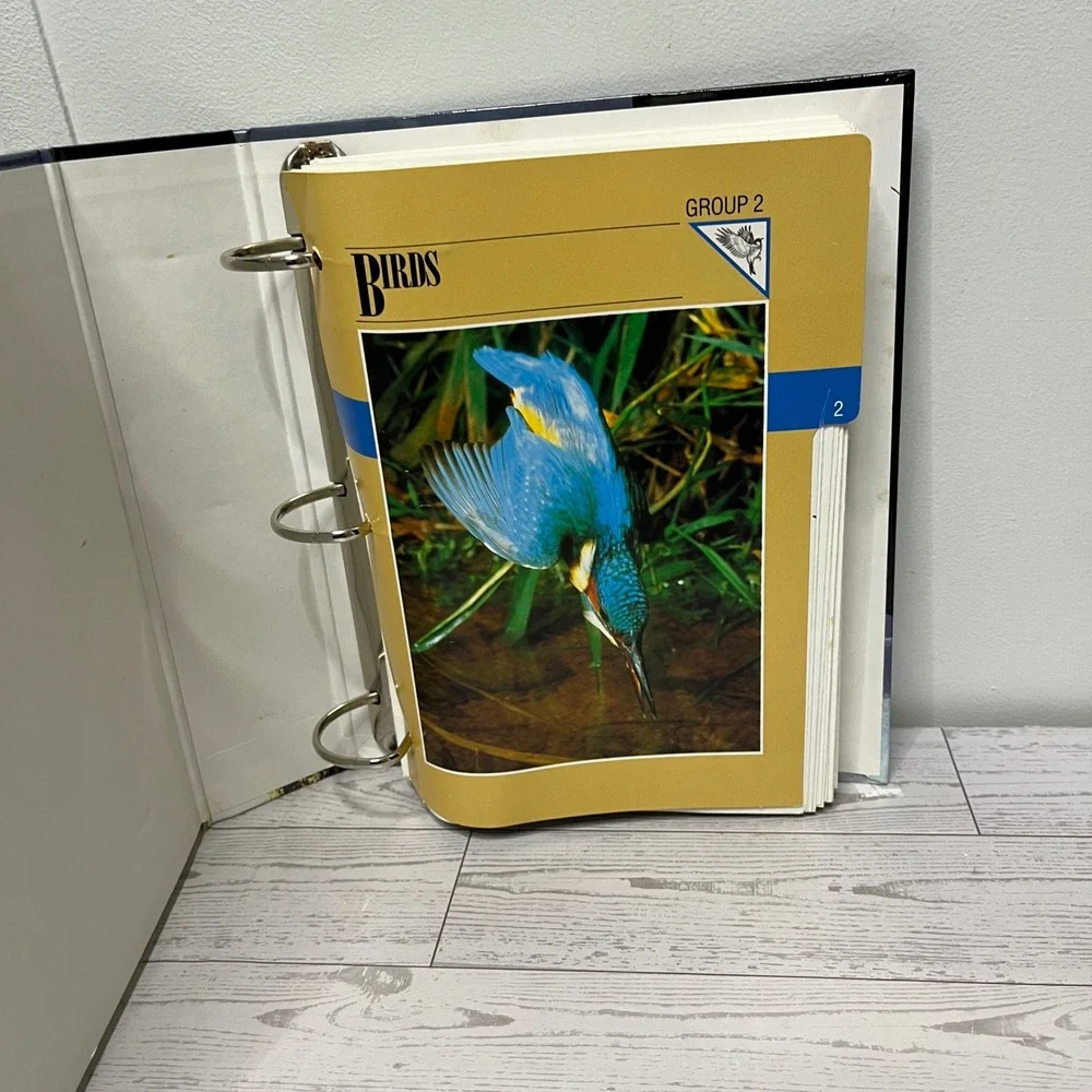 1992 Wildlife Fact-File Binder & Cards Group 2 Birds INCOMPLETE  Home School